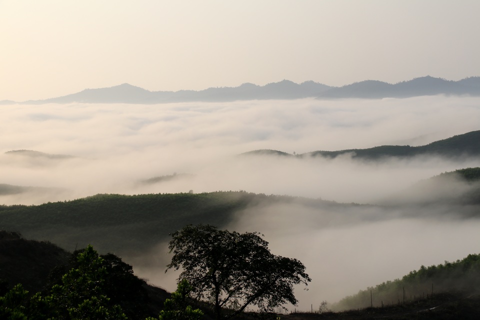 Mây giăng kín như bồng lai tiên cảnh trên đỉnh Giăng Màn - 3 Mây giăng kín như bồng lai tiên cảnh trên đỉnh Giăng Màn - 3