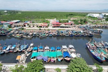 Quảng Ninh, Hải Phòng, Hưng Yên đồng loạt cấm biển ứng phó bão Ragasa