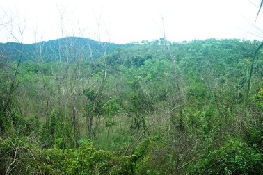 Yêu cầu 4 bên rà soát lại hồ sơ đo đạc