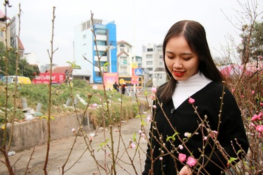 Đào, bưởi "rủng rỉnh" xuống phố phục vụ Tết dương lịch