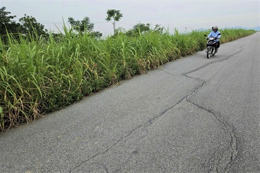 Chằng chịt vết lún, nứt trên dự án đê đang được thanh tra ở Ninh Bình