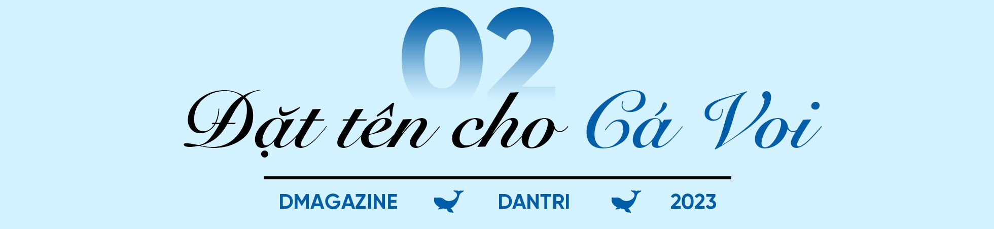 Điều đặc biệt trên các ngôi mộ ở nghĩa địa cá voi - 7 Điều đặc biệt trên các ngôi mộ ở nghĩa địa cá voi - 7