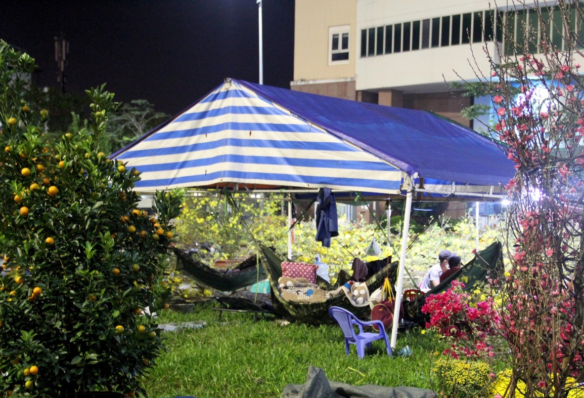Trắng đêm ở chợ hoa: 4 năm qua, tôi chưa đón giao thừa cùng gia đình - 7 Trắng đêm ở chợ hoa: 4 năm qua, tôi chưa đón giao thừa cùng gia đình - 7