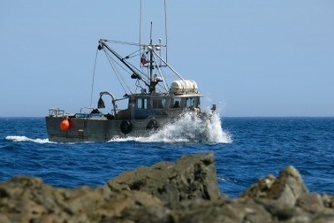 Tàu cá Nga bị lật trên biển Nhật Bản, 20 người mất tích 