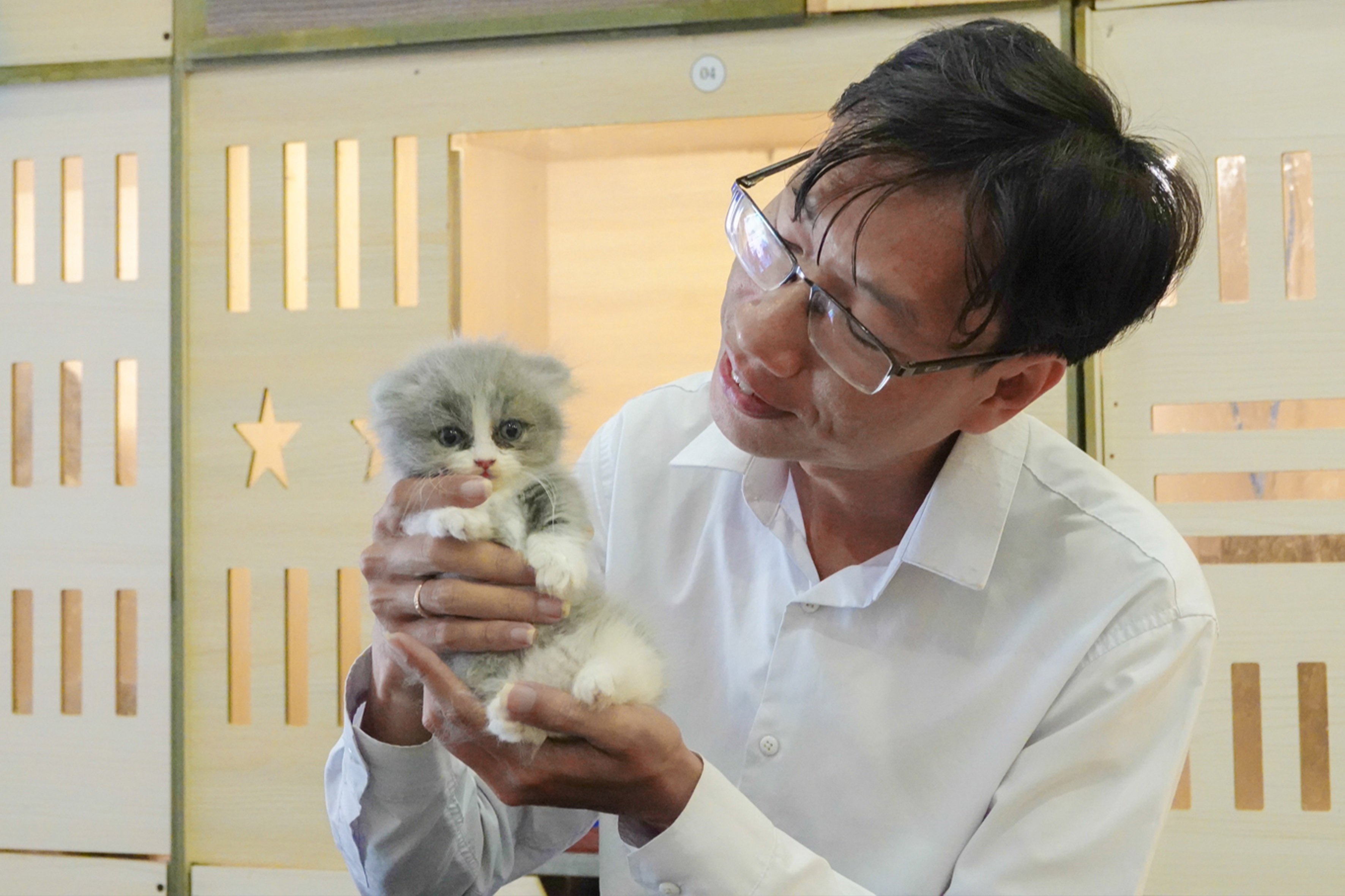 Chàng trai chi hơn 200 triệu đồng mở quán cà phê mèo cho khách đến vuốt ve - 7 Chàng trai chi hơn 200 triệu đồng mở quán cà phê mèo cho khách đến vuốt ve - 7