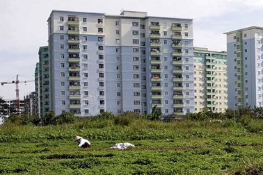 Luật “sáu không” mười năm... vẫn thế!