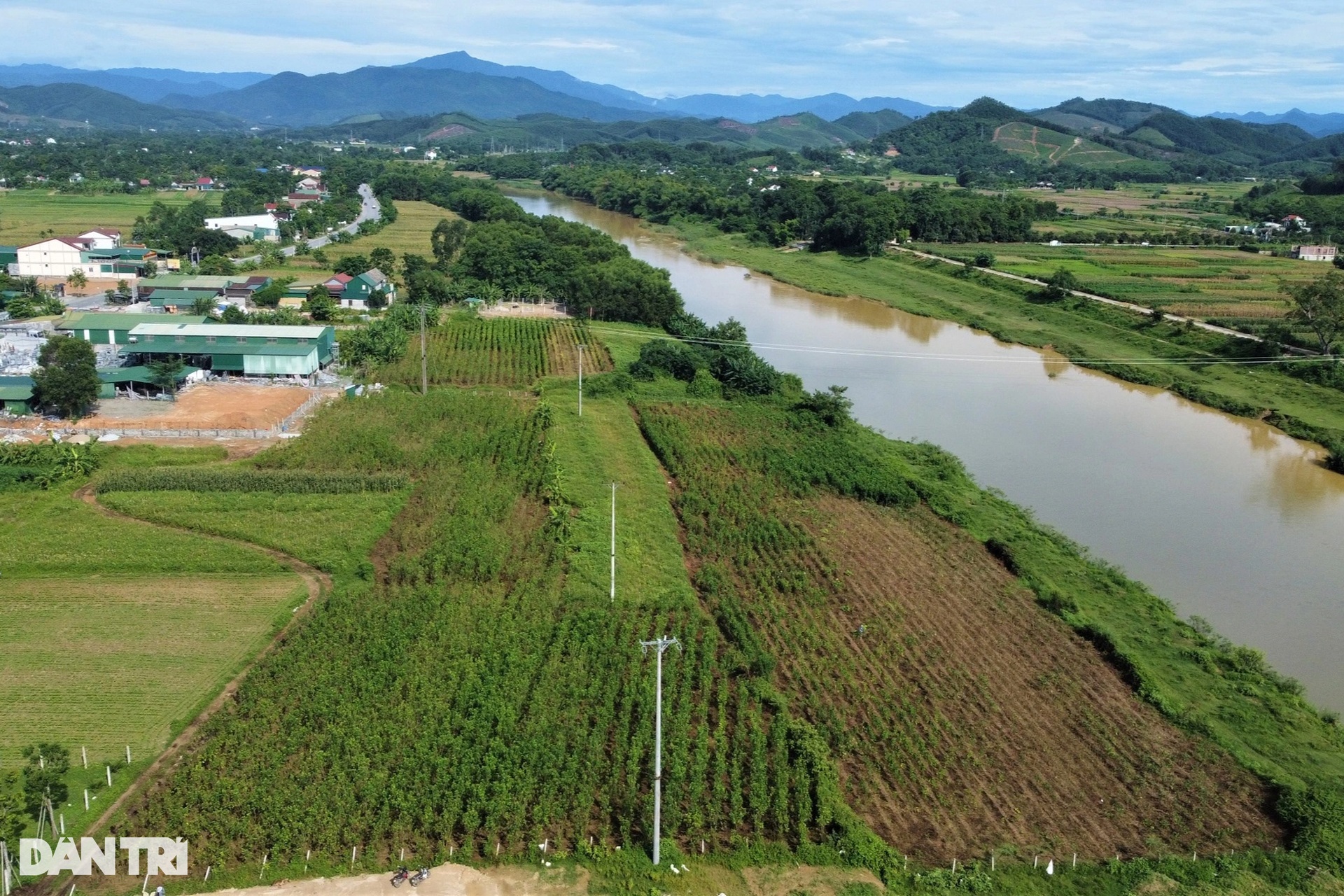 Đưa loại vật nuôi khó chiều vào phòng điều hòa, thu nửa tỷ đồng mỗi năm - 2 Đưa loại vật nuôi khó chiều vào phòng điều hòa, thu nửa tỷ đồng mỗi năm - 2