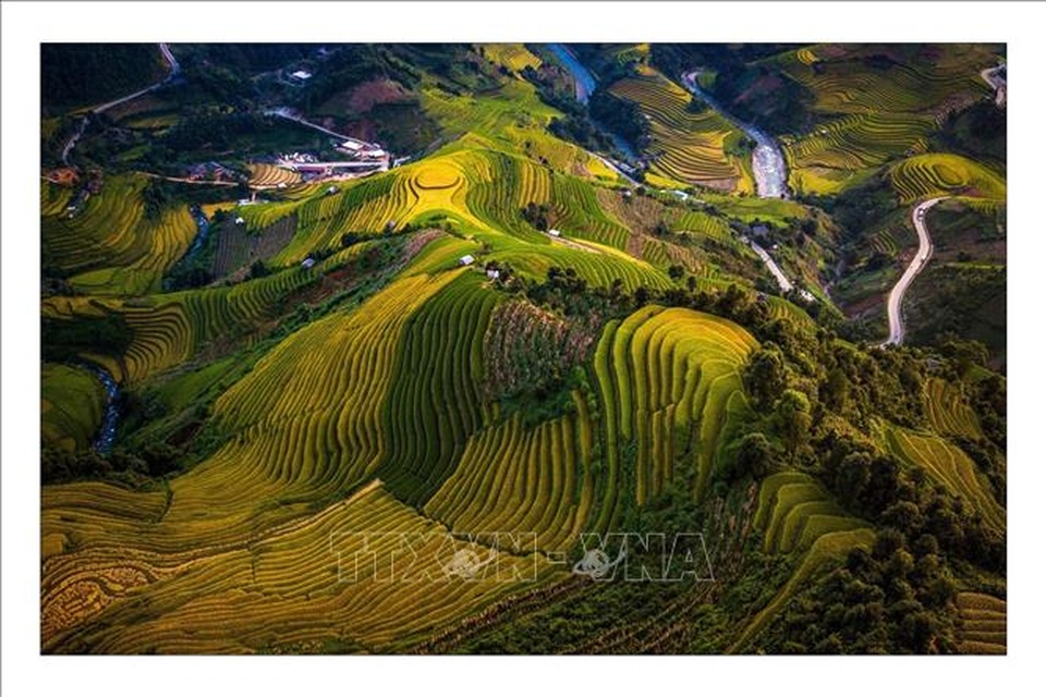 Ngắm mùa vàng trên ruộng bậc thang Mù Cang Chải - 3