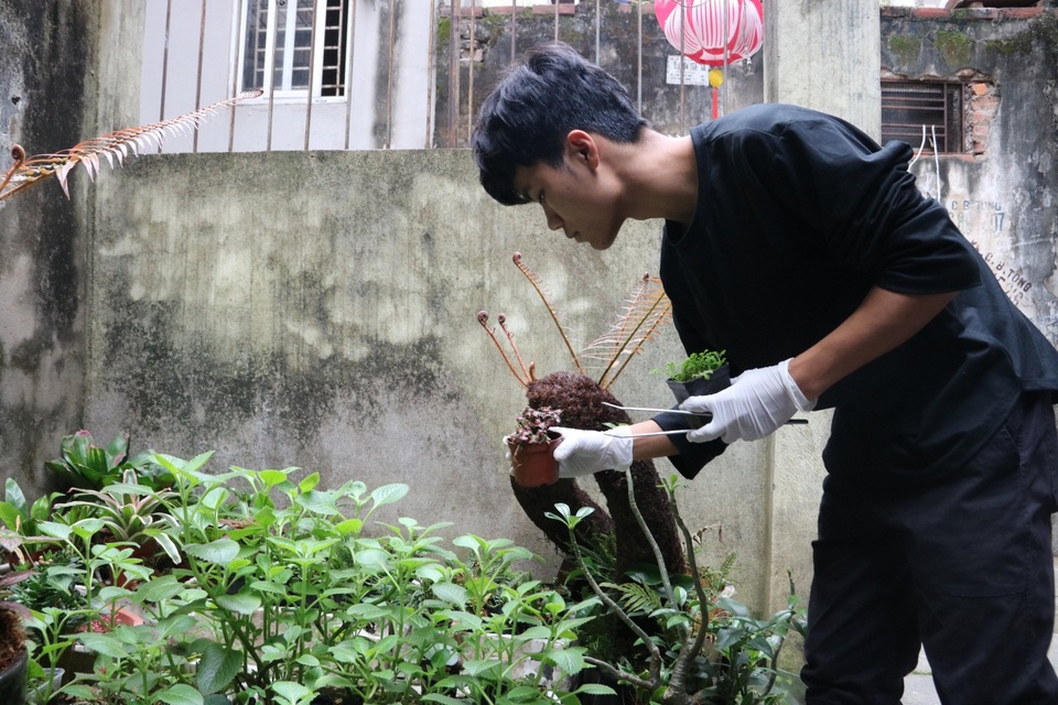 Chàng trai 10x với đam mê đem rừng nhiệt đới vào không gian sống - 7 Chàng trai 10x với đam mê đem rừng nhiệt đới vào không gian sống - 7