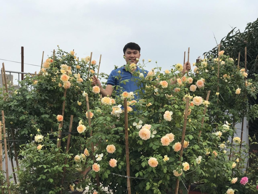 Vợ chồng thạc sĩ bỏ phố về quê làm trang trại hoa hồng ở Cao Bằng - 6 Vợ chồng thạc sĩ bỏ phố về quê làm trang trại hoa hồng ở Cao Bằng - 6
