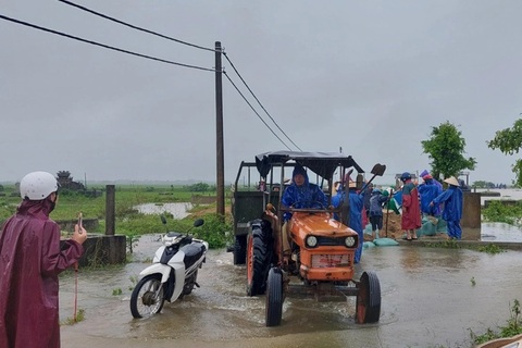 Nước lũ dâng cao, người dân trở tay không kịp, đội mưa đắp đê "cứu" lúa