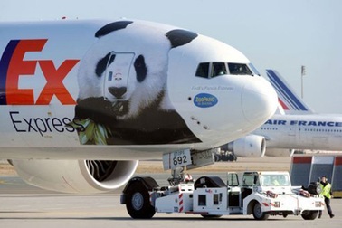  Gấu trúc VIP Trung Quốc sang Pháp làm “con nuôi”