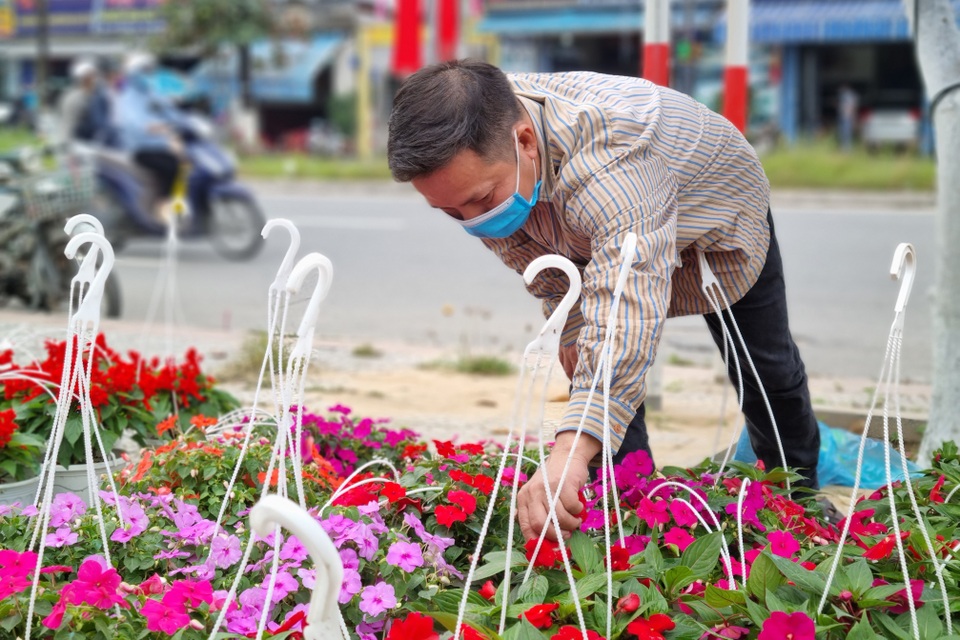 Hoa Tết ùn ùn xuống phố, còn ngóng người mua - 7 Hoa Tết ùn ùn xuống phố, còn ngóng người mua - 7