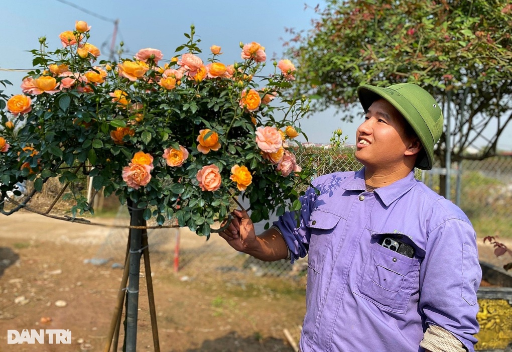 Mạnh tay chi tiền mua giống hoa hồng đi bay, nông dân 9X thu tiền tỷ - 2