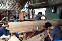 Phát động chiến dịch thanh tra lao động ngành gỗ năm 2019