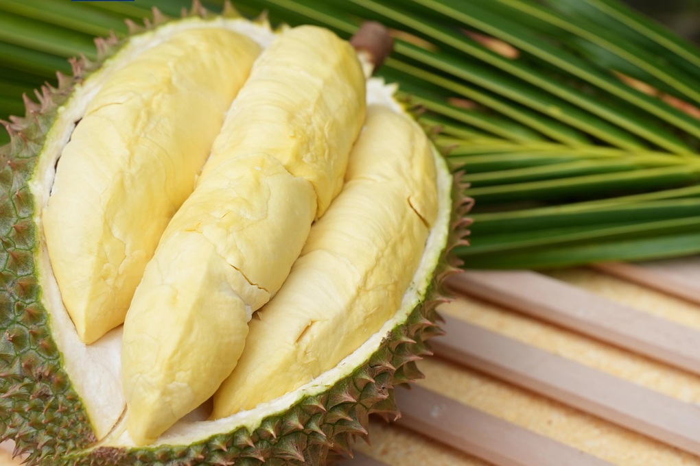 Cách Trung Quốc tự trồng sầu riêng khiến Thái Lan, Việt Nam phải dè chừng - 2 Cách Trung Quốc tự trồng sầu riêng khiến Thái Lan, Việt Nam phải dè chừng - 2