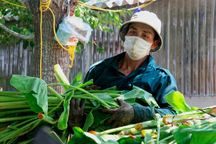 Trở thành tỷ phú nhờ nuôi loài... "chậm hơn rùa"