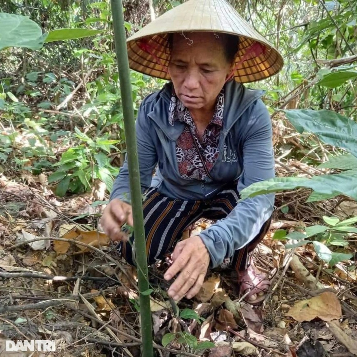 Thoát nghèo bằng thần dược cho quý ông - 4 Thoát nghèo bằng thần dược cho quý ông - 4