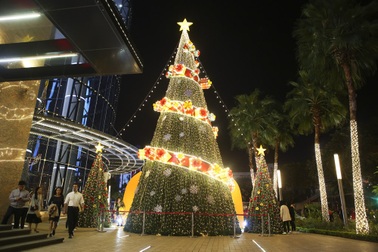 Mùa Noel đã rạo rực trên đường phố Hà Nội