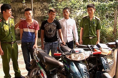 Nhóm trộm nhí thuê nhà nghỉ làm “căn cứ” để bàn cách ăn trộm