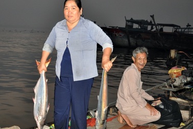 Kiếm tiền triệu nhờ nghề “săn” cá bông lau