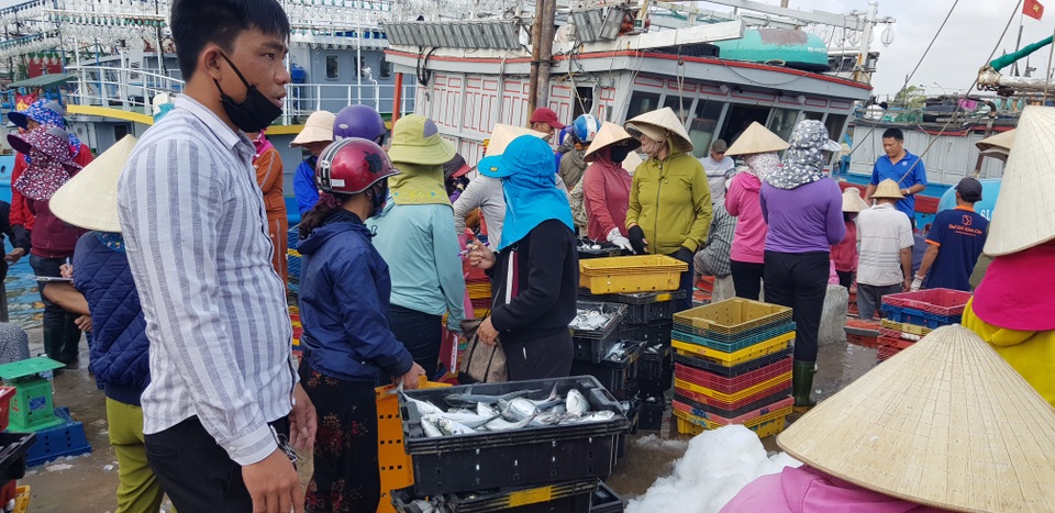 Quảng Trị: Ngư dân thu gần trăm triệu đồng nhờ trúng “lộc biển” đầu năm - 4 Quảng Trị: Ngư dân thu gần trăm triệu đồng nhờ trúng “lộc biển” đầu năm - 4