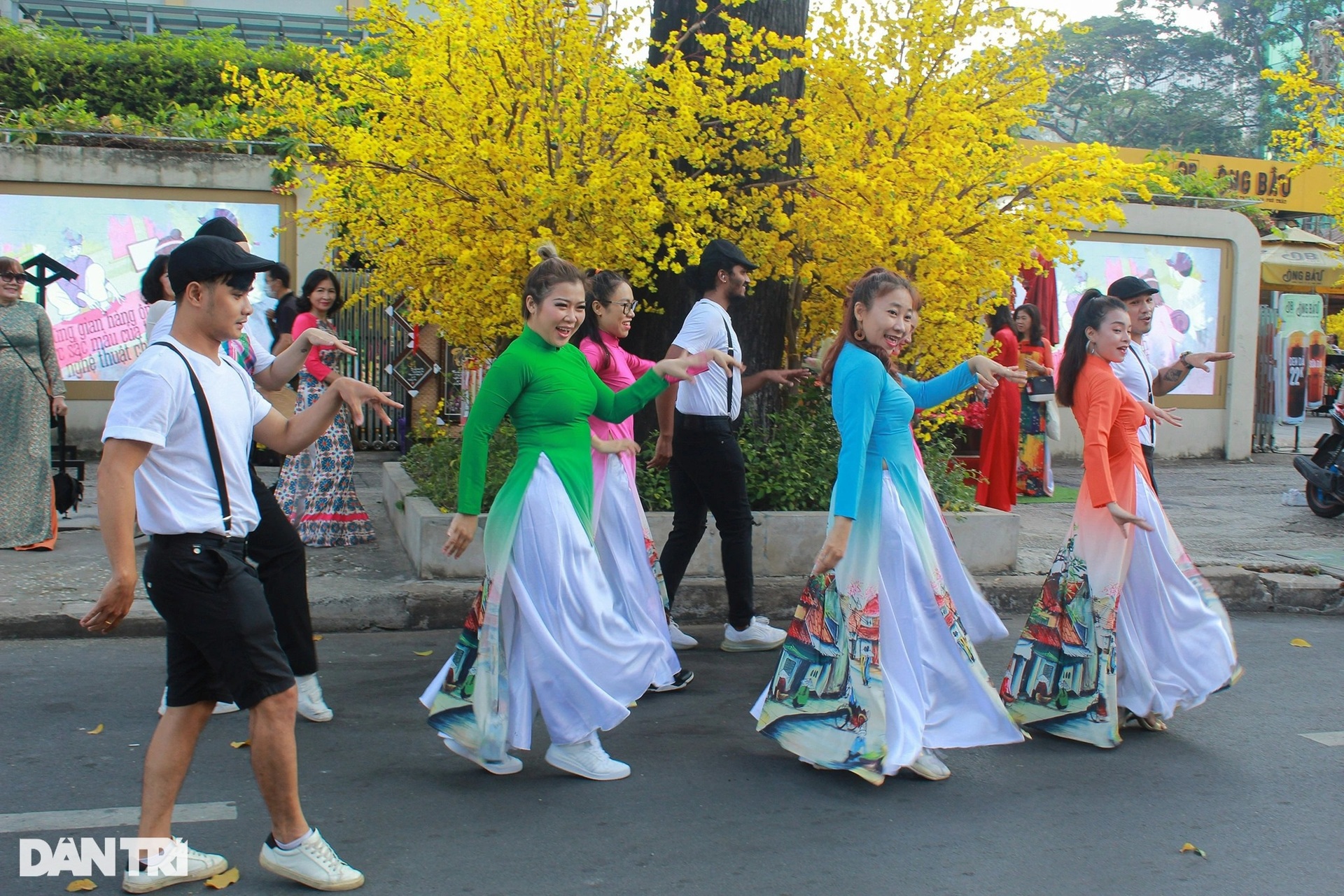 Đường mai rực rỡ sắc xuân ở TPHCM sẵn sàng đón người dân vui chơi Tết 2022 - 3