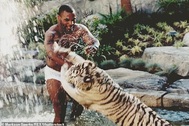 Myke Tyson từng đề nghị trả 10.000 USD để được đấm nhau với khỉ đột