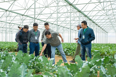 Ba ngành ở TPHCM nhiều tháng không tuyển dụng dù hơn 1.000 người tìm việc