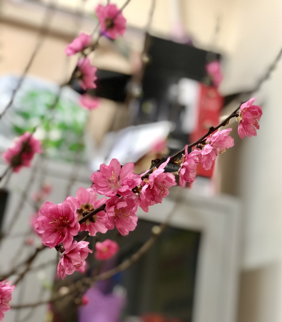 Kịch bản giao thừa của học sinh khu cách ly Trường tiểu học Xuân Phương - 2 Kịch bản giao thừa của học sinh khu cách ly Trường tiểu học Xuân Phương - 2