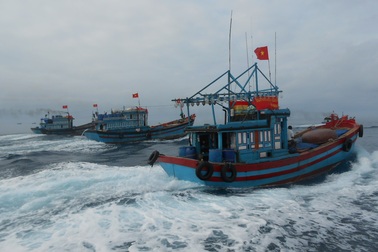 Quảng Ngãi: Niềm vui với những mẻ cá tươi từ Hoàng Sa