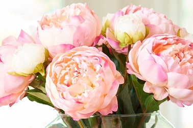 Những bất ngờ thú vị dành cho mẹ ngày 8/3