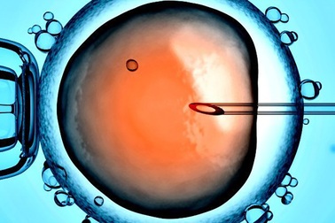 Bí ẩn về sự tồn tại của em bé được chỉnh sửa gene thứ 3 tại Trung Quốc