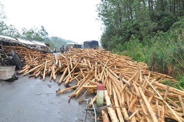 Xe tải "rải" gỗ tràm kín đường, giao thông ùn tắc