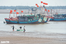 "Xông biển" mùng 1 Tết, ngư dân kiếm tiền triệu