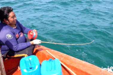 Bí quyết săn mực độc, lạ, câu con nào dính con đó của ngư dân Phú Quốc