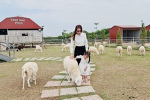 Về xứ Công tử Bạc Liêu cưỡi ngựa, chụp ảnh cùng cừu...