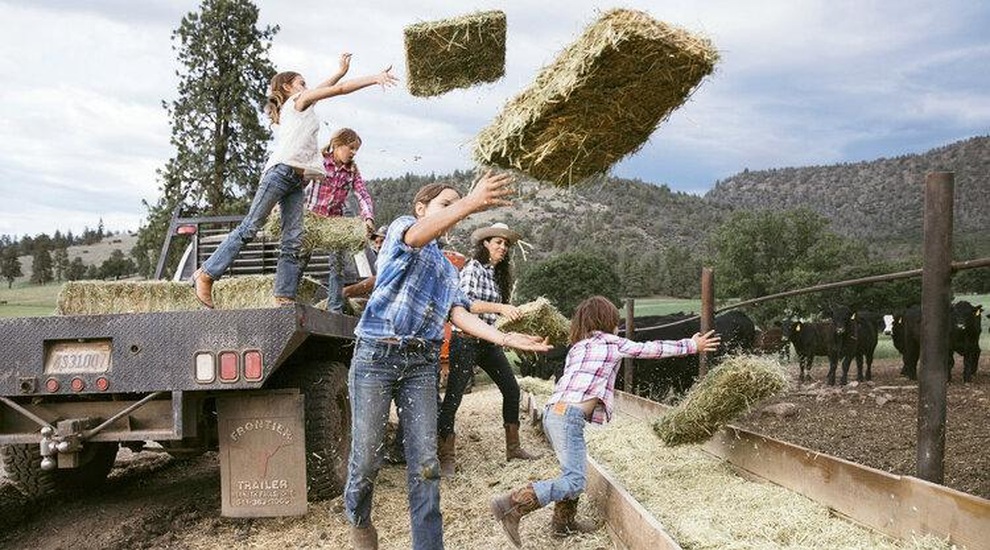 Gia đình doanh nhân thành đạt về quê, lên mạng học làm nông dân - 5