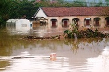 Quảng Bình: Ngành Giáo dục thiệt hại gần 260 tỉ đồng do bão lụt