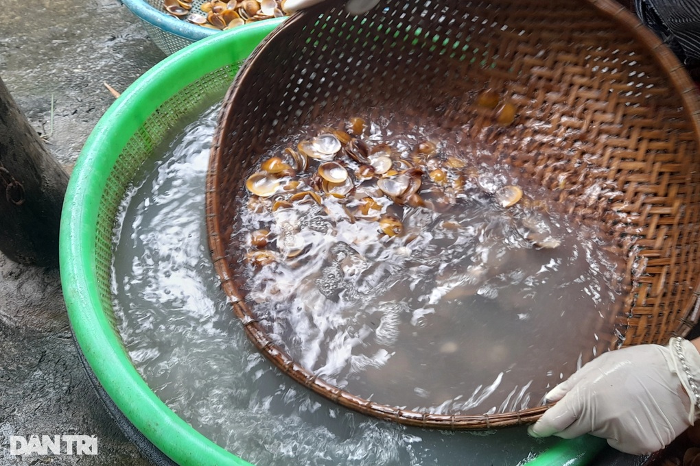 Thu nhập giảm mạnh, nông dân vẫn quyết bám trụ nghề từng nuôi cả gia đình - 3 Thu nhập giảm mạnh, nông dân vẫn quyết bám trụ nghề từng nuôi cả gia đình - 3