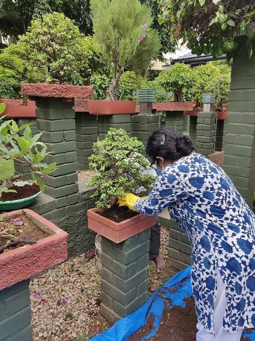 Ngôi nhà không cần lắp điều hòa, điện mặt trời dư thừa để gia chủ bán - 3 Ngôi nhà không cần lắp điều hòa, điện mặt trời dư thừa để gia chủ bán - 3
