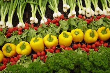 Rau quả tồn kho tăng cao đột biến