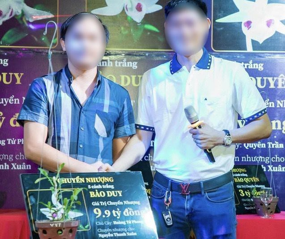 Bóc mẽ lan đột biến tiền tỷ - 1 Bóc mẽ lan đột biến tiền tỷ - 1