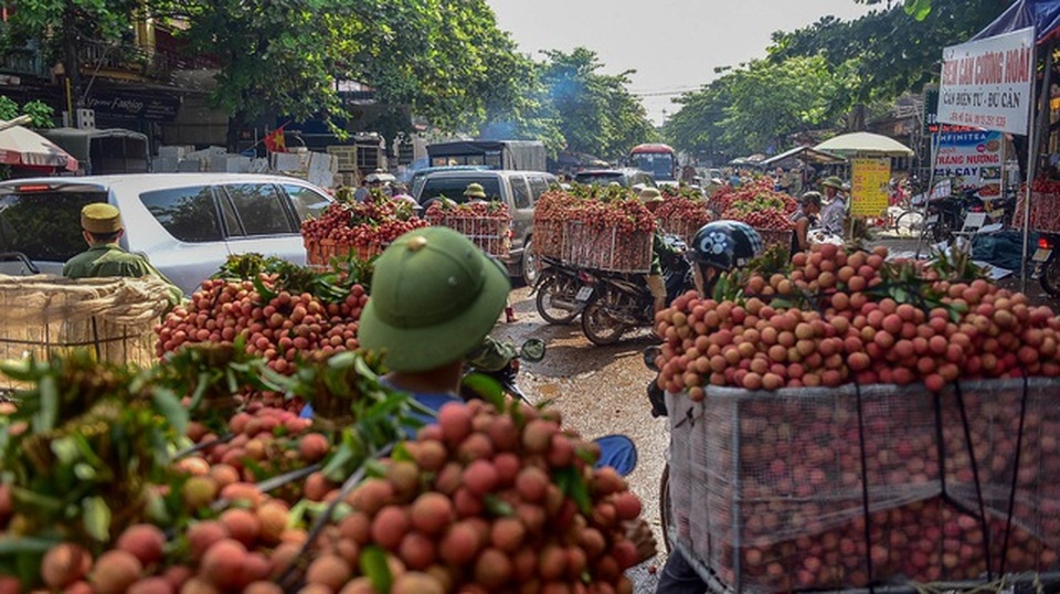 Thủ tướng lệnh lập luồng xanh, dốc tổng lực cứu Bắc Giang, Bắc Ninh - 1 Thủ tướng lệnh lập luồng xanh, dốc tổng lực cứu Bắc Giang, Bắc Ninh - 1