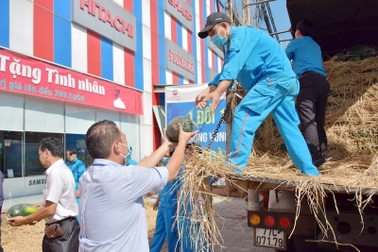 Hàng chục tấn dưa hấu được "giải cứu" trong mùa dịch Corona