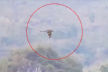 Sinh vật bí ẩn nghi là rồng "xuất hiện trên bầu trời Trung Quốc"