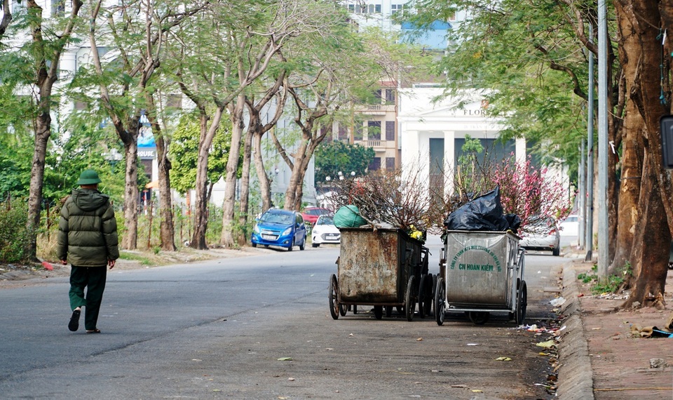 Đào Tết, quất cảnh phơi mình héo úa sau dịp Tết - 11 Đào Tết, quất cảnh phơi mình héo úa sau dịp Tết - 11