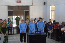 Nâng khống tài sản, nguyên giám đốc và cán bộ ngân hàng lĩnh án