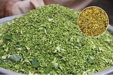 Huyết áp cao bao năm cũng thua thảo dược này