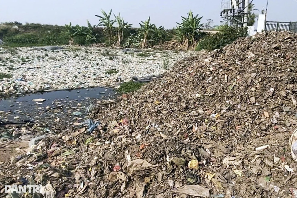 Kỳ 1: Bãi rác lộ thiên đe dọa vùng nuôi rươi ở Hải Phòng - 11 Kỳ 1: Bãi rác lộ thiên đe dọa vùng nuôi rươi ở Hải Phòng - 11